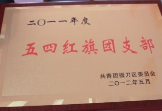 全区召开五四表彰大会 我校团委喜传佳音